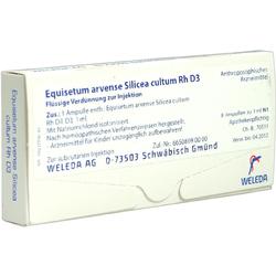 EQUISETUM ARV SILIC CU D 3